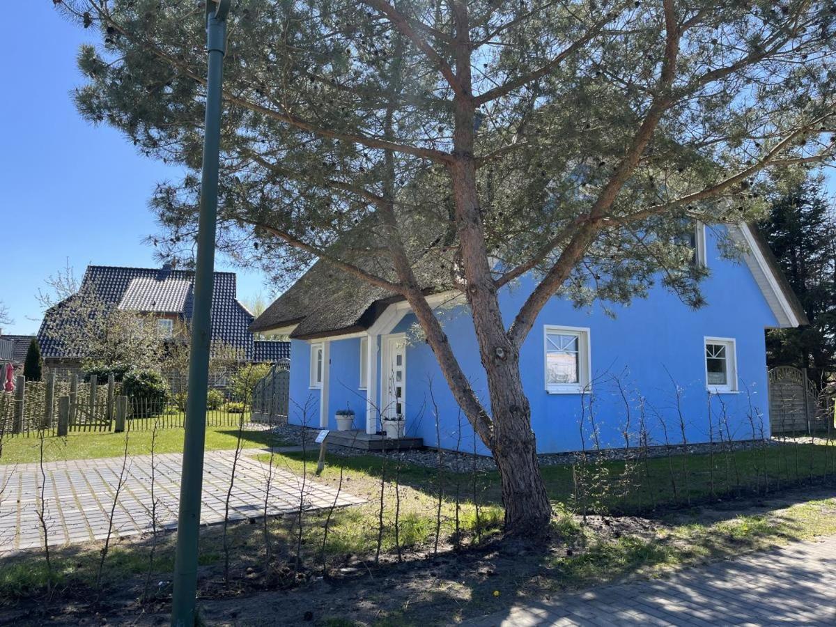 Ferienhaus De Niege Leive Born Bagian luar foto